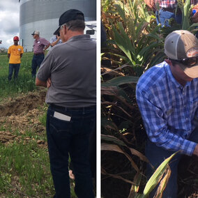 Soil health summer field days