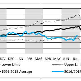 Chart of historical soybean price trends after August WASDE report