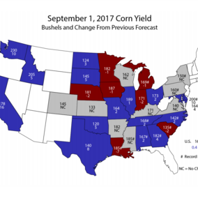 Map of forecast corn grain harvest and percent change from the last forecast.