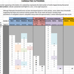 Table of variegated cutworm moth counts for April 1-28, 2016