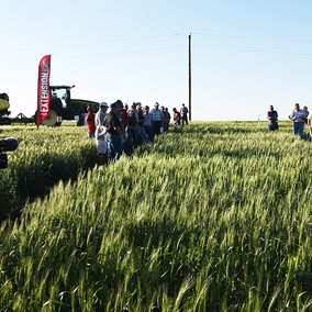 May 30 Nebraska Extension Wheat Field Day in Jefferson County