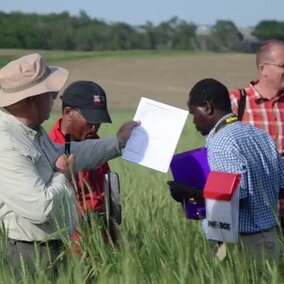 Farm Progress Daily Wheat Interview