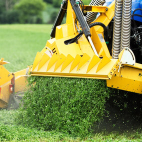 Harvested alfalfa falls from combine