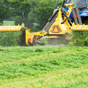 alfalfa harvester in field