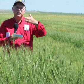 Dr. P. Stephen Baenziger speaking at a wheat variety trial field day at the High Plains Ag Lab near Sidney in 2018.