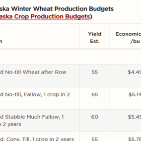 Comparison of wheat crop budgets