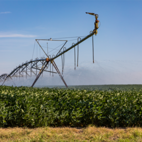 Center pivot in soybeans