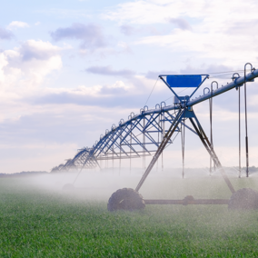 center pivot watering field