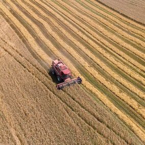 Combine in field