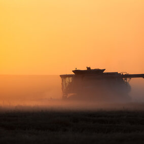 Combine in field