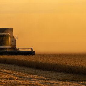 Combine in wheat