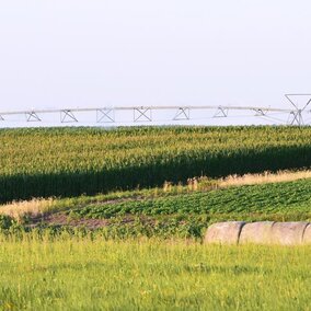 corn and soybean field with center pivot irrigation