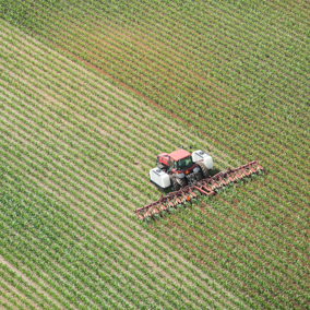 Tractor applying nitrogen fertilizer to corn field