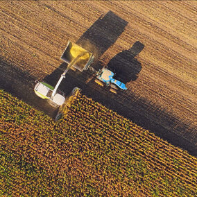 Aerial corn harvest