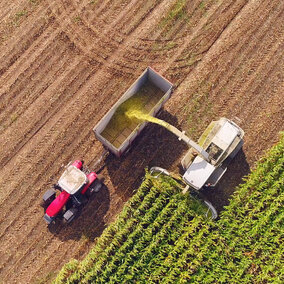 Corn harvest aerial