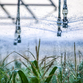Closeup of center pivot watering corn