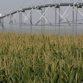 Center pivot irrigation system watering a field