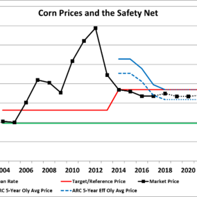 Chart of corn prices, PLC, and ARC price protection from 2004 and projected through 2022