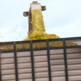 Loading corn silage 