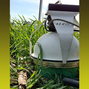 CO2 sensor in rye cover crop