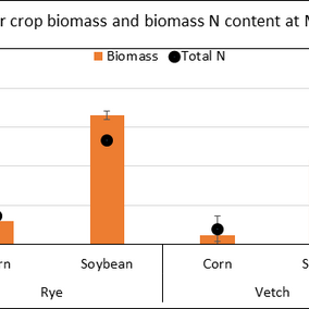 Comparison of aboveground biomass amounts and total N when using hairy vetch or cereal rye as cover crops.