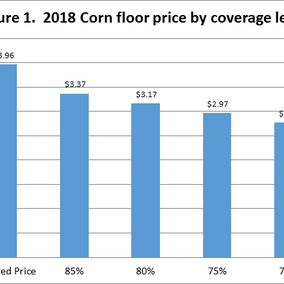 Corn floor price by coverage level for 2018 revenue protection coverage