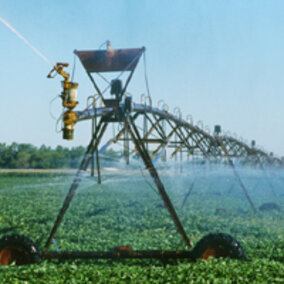 Center pivot irrigation of soybean