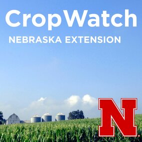 Graphic for the UNL CropWatch Podcast