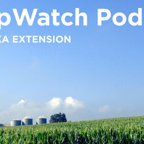 Cover image for the Nebraska CropWatch podcast