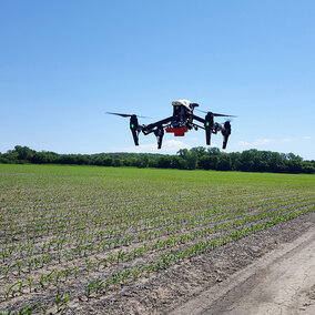 Drone flight over corn