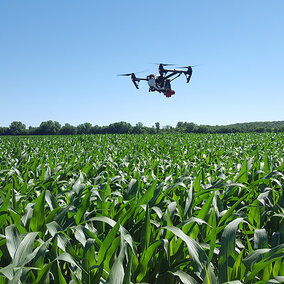 Drone equipped with sensors to read nitrogen levels
