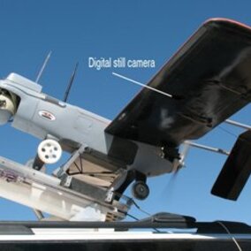 Drone equipped with sensors for assessing nitrogen need