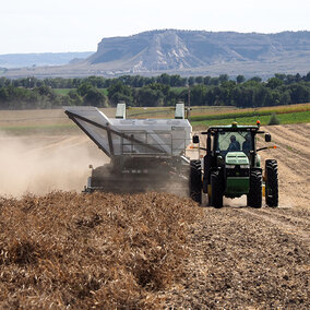 Dry bean harvest underway in the Nebraska Panhandle