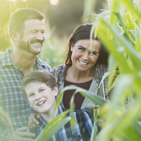 A happy family standing in a corn field