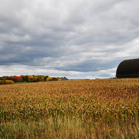 Fall rain on farm