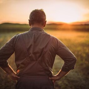 Farmer in field