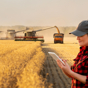 Farmer holds tablet in field during harvest