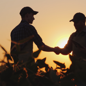 Farmers shaking hands in field