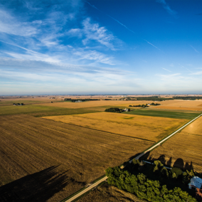 Aerial view of farmland and houses