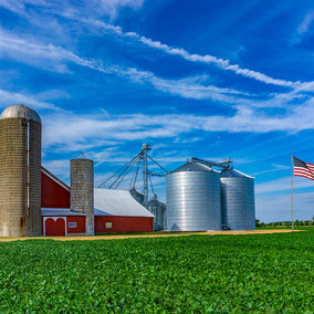 Farm scene