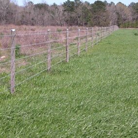 Pasture fencing