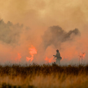 Firefighter in field