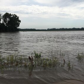 a flooded field