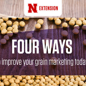Four ways to improve your grain marketing today