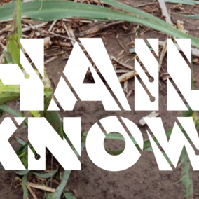 The Hail Know website offers timely information to help farmers respond when hail strikes their crops.