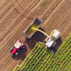 Combine harvesting corn with grain truck