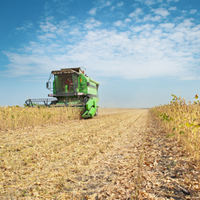 Harvester in soybean field