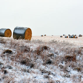 hay bales in pasture under snow