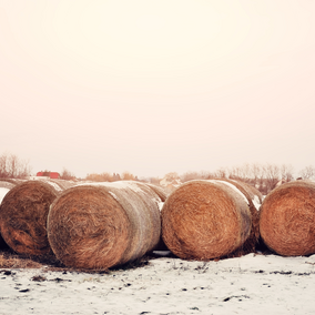 hay bales on snowy farm ground