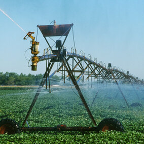 Center pivot irrigated soybeans